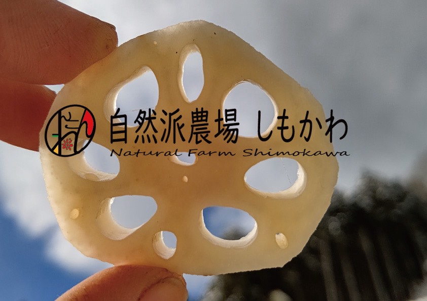 商店街-しもかわ